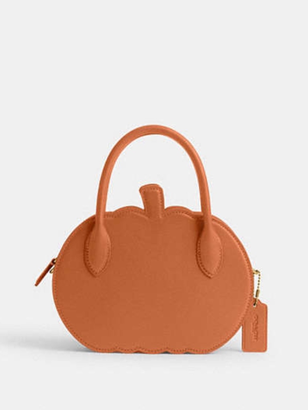 Coach Pumpkin Bag - Picture 10 of 12